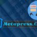 metapress.com Review